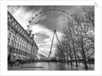 Millennium Wheel in London by Assaf Frank